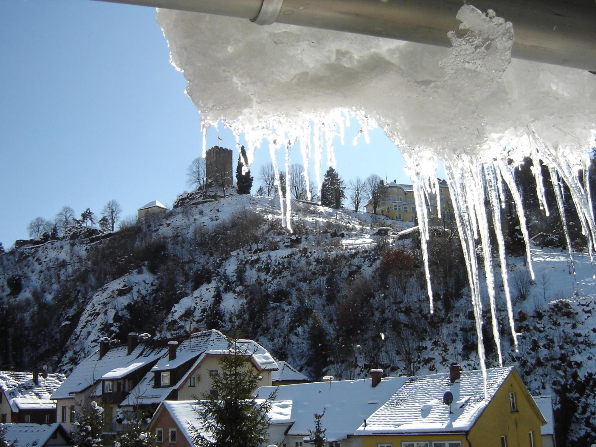 Gasthaus Schuetzen Hornberg Dış mekan fotoğraf
